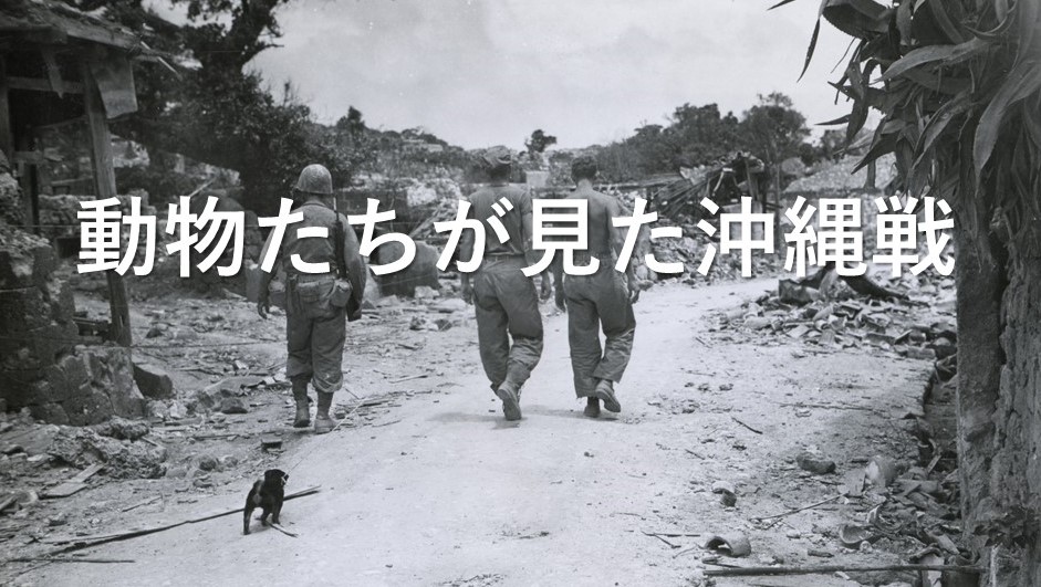 動物たちが見た沖縄戦